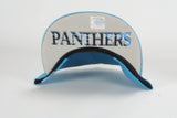 Panthers Carolina blue print snapback - HatsbyWill
 - 2