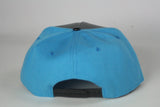 Panthers 3/4 Leather/Blue SnapBack - HatsbyWill
 - 5