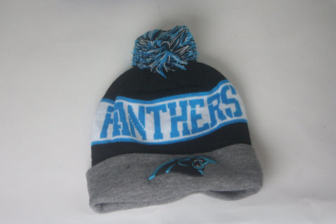 Panthers Grey/wht/Blue Beanie - HatsbyWill
 - 1